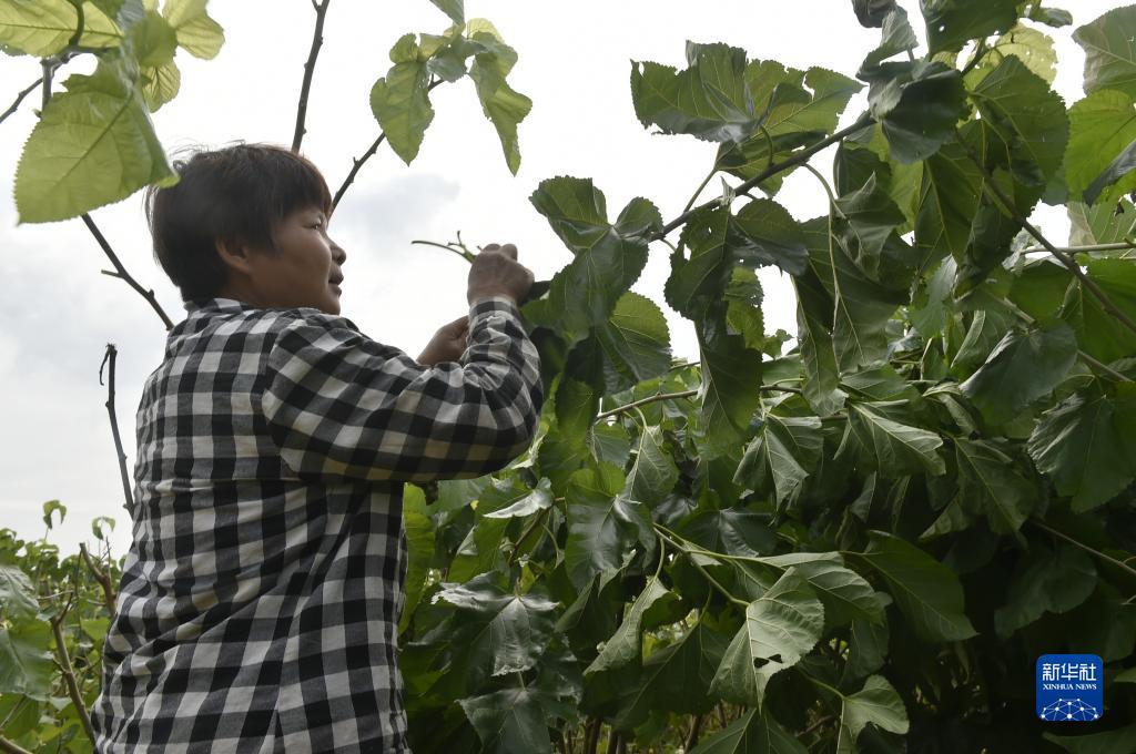 问鼎平台注册下载